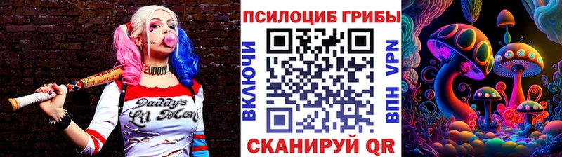 сколько стоит  Нюрба  KRAKEN ONION  Псилоцибиновые грибы Psilocybe 